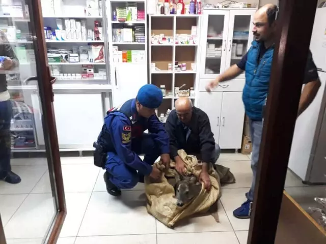 Https Www Haberler Com Vatandaslar Afetlerde Hayat Kurtaracak 11529605 Haberi Https Foto Haberler Com Haber 2018 12 12 Vatandaslar Afetlerde Hayat Kurtaracak 11529605 O Jpg Https Www Haberler Com Asgari Ucret Komisyonu Nun Ikinci Toplantisi