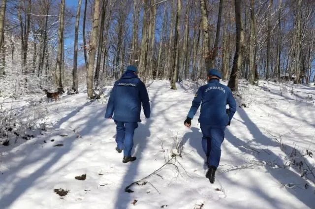 Almanya'dan Gelen İhbar Bolu'daki Ekipleri Alarma Geçirdi Almanya'dan Gelen İhbar Bolu'daki Ekipleri Alarma Geçirdi