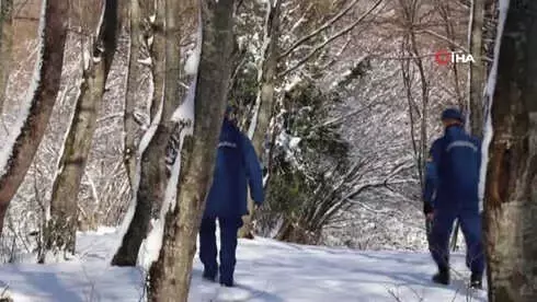 Almanya'dan Gelen Yardım Sinyali Bolu'daki Ekipleri Alarma Geçirdi Almanya'dan Gelen Yardım Sinyali Bolu'daki Ekipleri Alarma Geçirdi