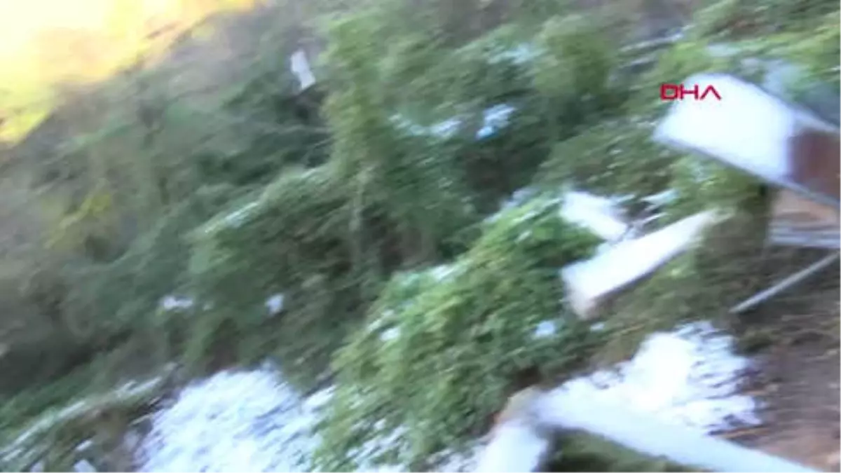 Zonguldak'ta Heyelan Nedeniyle 11 Ev Boşaltıldı