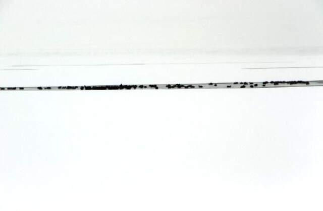 Ardahan'da Aktaş Gölü Dondu