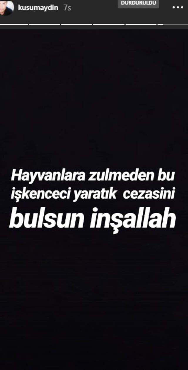 MasterChef Murat Özdemir'in Hayvana Eziyet Videosu Ünlü İsimlerden Tepki Topladı
