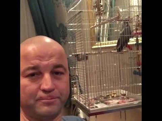 Papağana İşkence Yapan Murat Özdemir'in Bulunduğu Karakola Giden Ömür Gedik: Acun Tehlike Altında