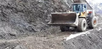 Merkez Haberleri: Jandarma, teröristlerin yola tuzakladığı patlayıcıyı bulup imha etti Merkez Haberleri: Jandarma, teröristlerin yola tuzakladığı patlayıcıyı bulup imha etti