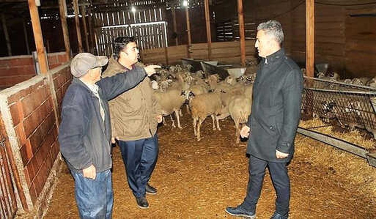 İl Müdürü Yoldaş'dan Hayvancılık İşletmesine Ziyaret