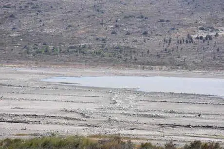 İzmir'de Yağmurla Barajlar Doldu İzmir'de Yağmurla Barajlar Doldu