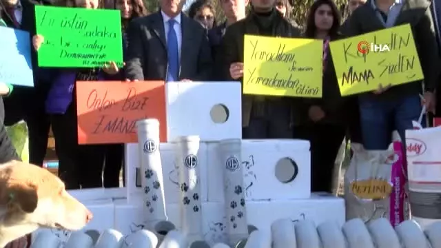 Mardinli Öğrenciler Hayvanlar İçin Su Borusu ve Köpük Kutulardan Mama