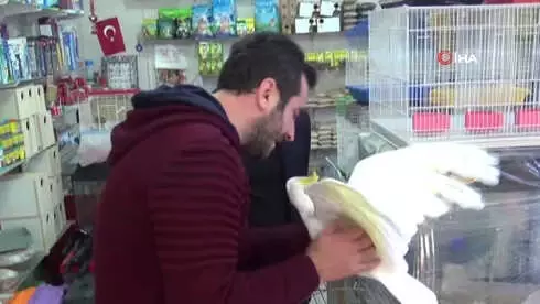 Papağana 42. Yaş Günü Kutlaması