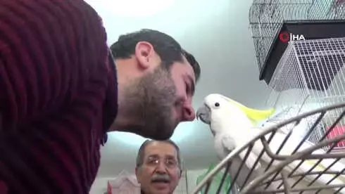 Papağana 42. Yaş Günü Kutlaması