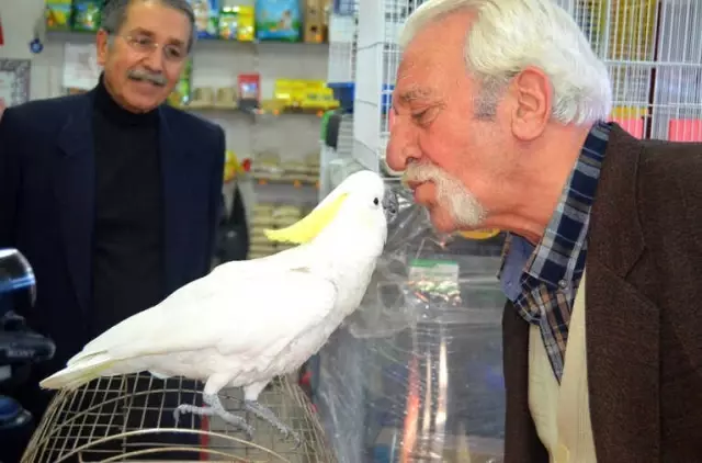 Papağana 42. Yaş Günü Kutlaması