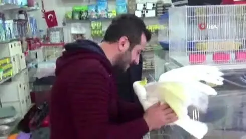 Papağana 42. Yaş Günü Kutlaması