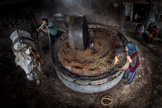 Üniversite Öğrencileri 'Korsanla Mücadele' İçin Yarışıyor