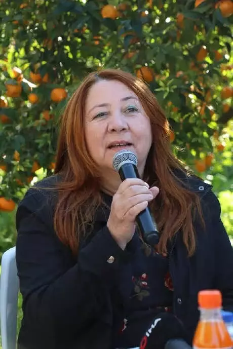 Bodrum Mandalinası Festivalle Hasat Edilecek