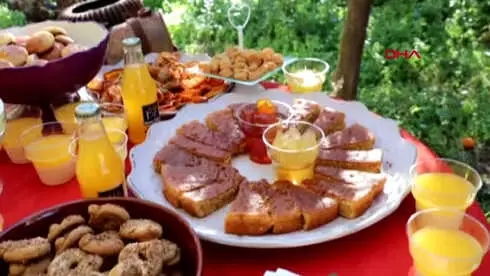 Bodrum Mandalinası Festivalle Hasat Edilecek Bodrum Mandalinası Festivalle Hasat Edilecek