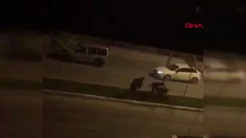 Batman Haberleri: Köpeklere işkenceden yakalandı, cinayet zanlısı çıktı Batman Haberleri: Köpeklere işkenceden yakalandı, cinayet zanlısı çıktı