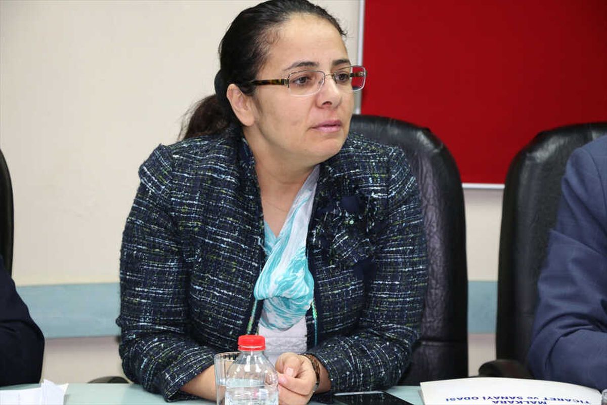Kosgeb'in Yürüttüğü Destek Programı
