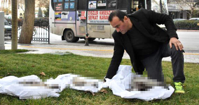 Şefkat-Der Genel Başkanı, Köpek Ölümlerine Dikkat Çekmek İçin Köpek Ölülerini Kefenleyip Belediye Önüne Bıraktı