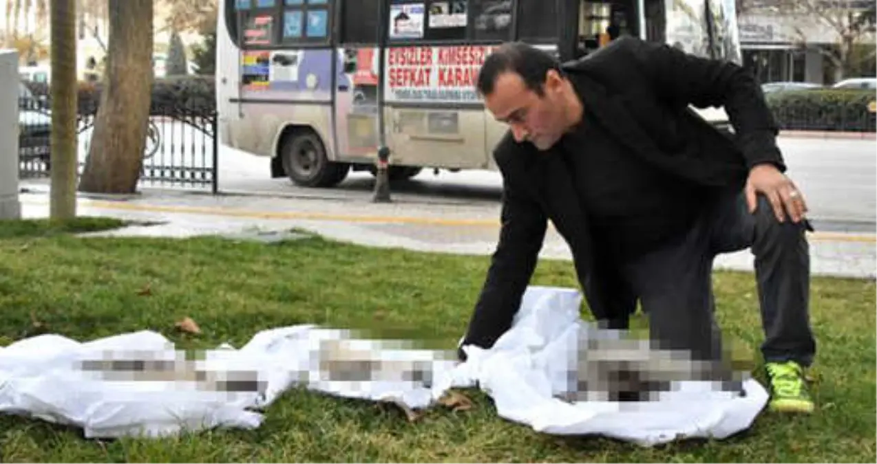 Şefkat-Der Genel Başkanı, Köpek Ölümlerine Dikkat Çekmek İçin Köpek Ölülerini Kefenleyip Belediye Önüne Bıraktı