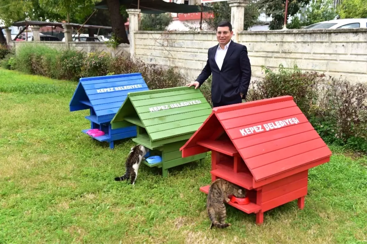 Kepez�den Parklara Kedi Evi Haber