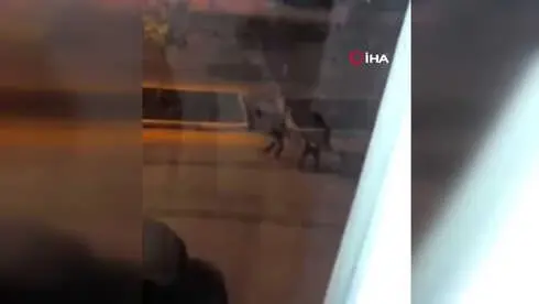Batman Haberleri: Köpeklere işkenceden yakalandı, cinayet zanlısı çıktı Batman Haberleri: Köpeklere işkenceden yakalandı, cinayet zanlısı çıktı