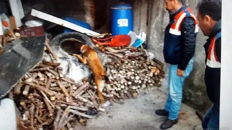 Odunluktaki Uyuşturucuyu 'Cadı' ve 'Mark' Buldu