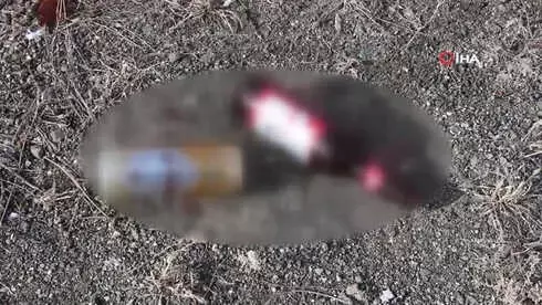 Sarıkamış Şehitleri Anıtını Çöplüğe Çevirdiler Sarıkamış Şehitleri Anıtını Çöplüğe Çevirdiler