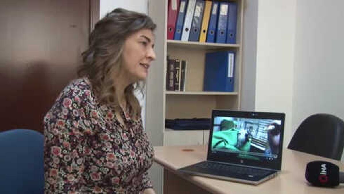 Murat Özdemir'in İşkencesi Sonucu Ölen Gri Papağanın Nesli Tükenmek Üzere