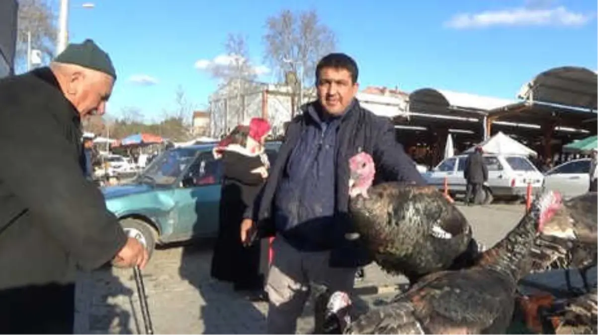 Yılbaşına Özel Yetiştirdiği Hindileri Satıyor
