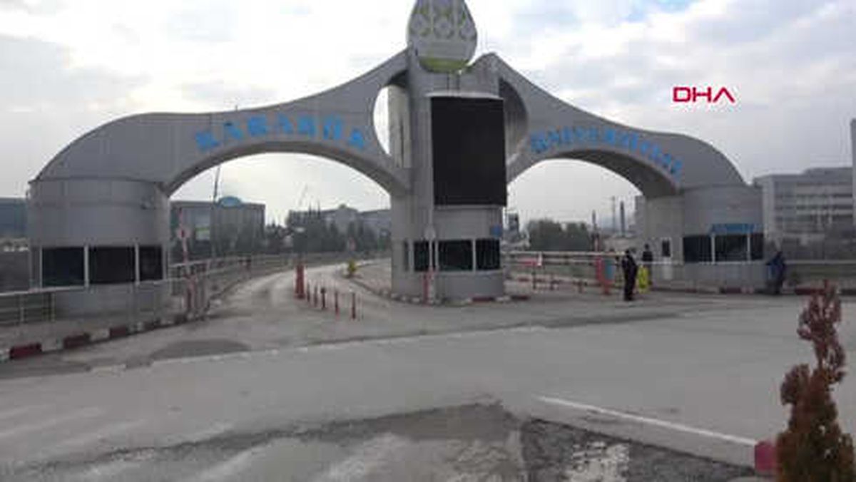 Karabük Üniversitesi'nde Kedi Sevgisi