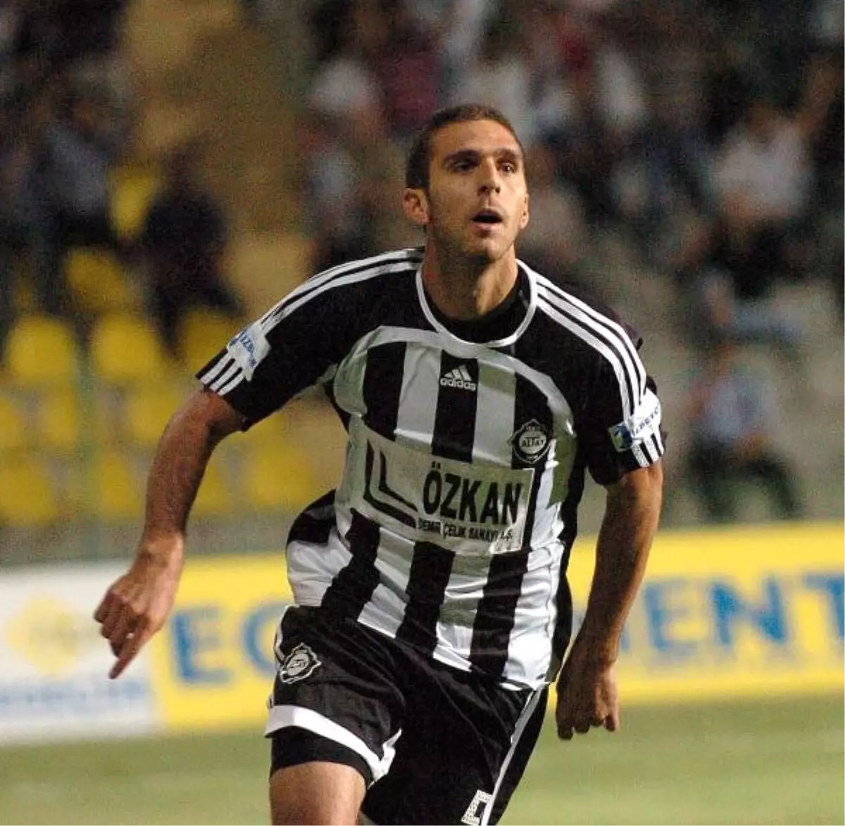 Altay'da Merter Yuvaya Döndü