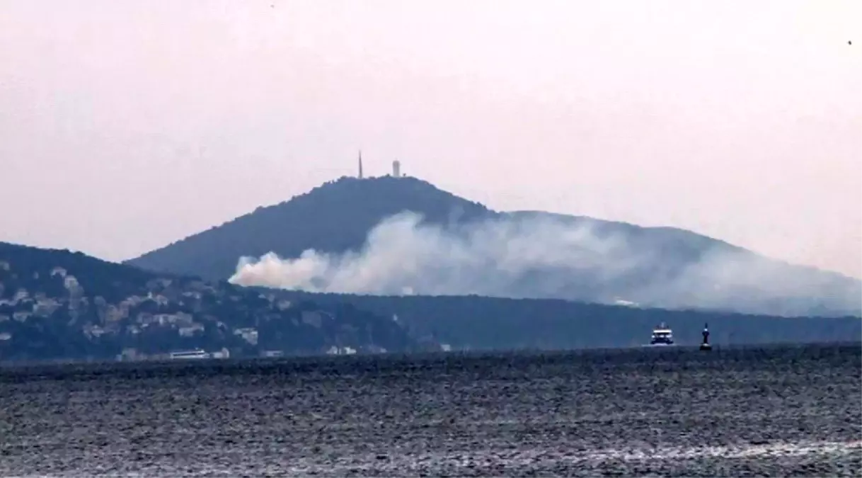 Büyükada'da Yangın