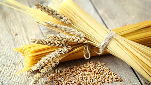 Makarnalık Buğday Eken Çiftçiye Müjde! Alım Garantisi Geliyor Türkiye Tarım Kredi Kooperatifleri ile iş birliğine giden Türkiye Makarna Sanayicileri Derneği, makarnalık buğday eken çiftçilere alım garantisi getirileceğini açıkladı. | Sungurlu Haberleri
