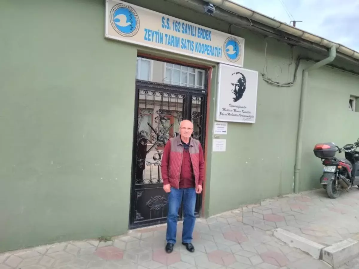 Zeytin Kooperatifi Sezonu Kapattı