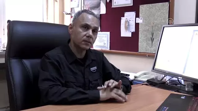 Bir Yunusun Günde 70 Kilo Hamsi Tükettiği İddiası Doğru Değil' Bir Yunusun Günde 70 Kilo Hamsi Tükettiği İddiası Doğru Değil'
