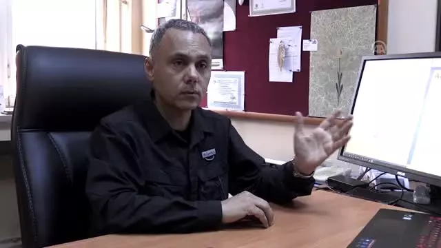 Bir Yunusun Günde 70 Kilo Hamsi Tükettiği İddiası Doğru Değil' Bir Yunusun Günde 70 Kilo Hamsi Tükettiği İddiası Doğru Değil'
