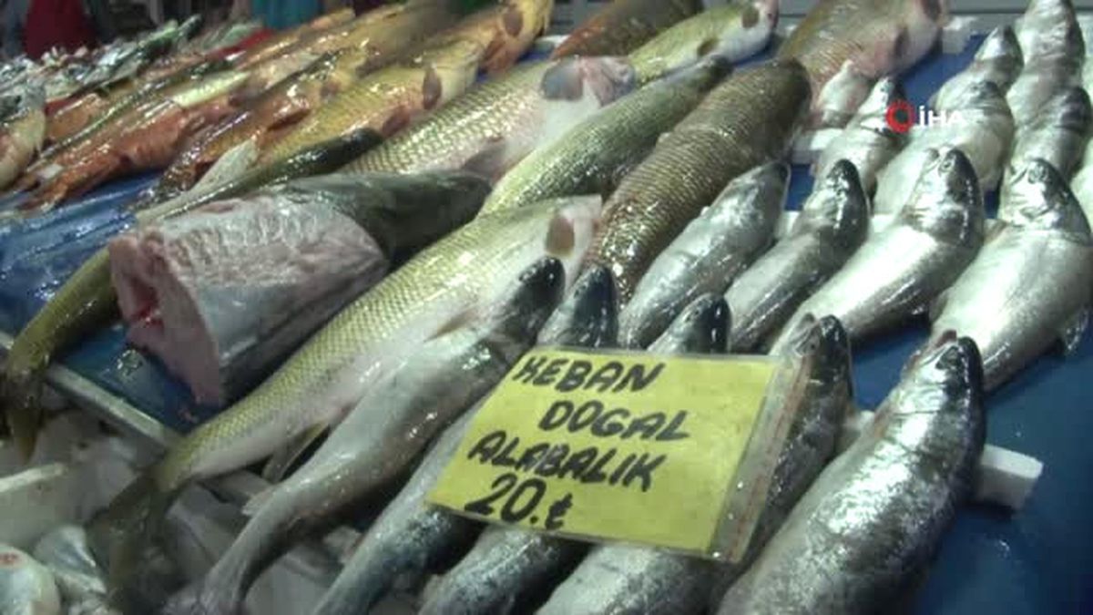 Elazığ'da Balık Bereketi, Hamsiden Bile Ucuz