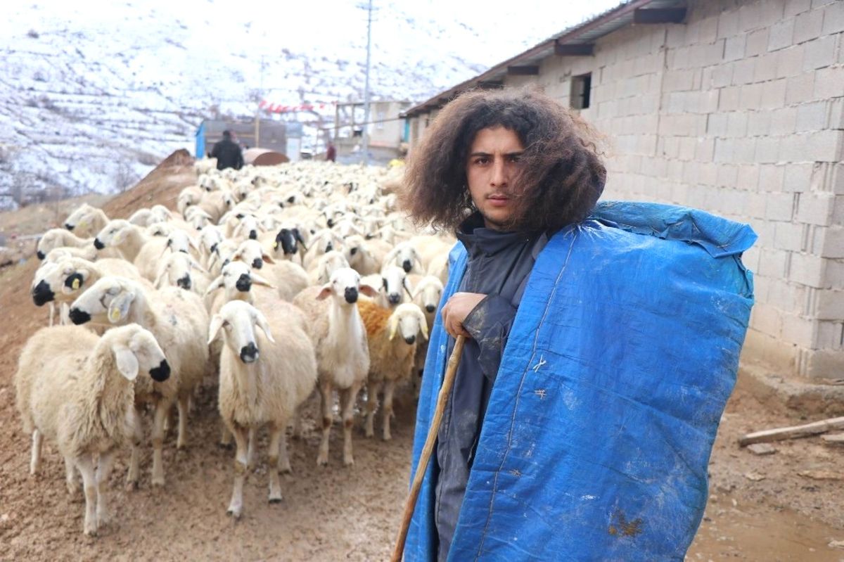 Katıldığı Projeyle Hayatı Değişti! Üniversite Mezunu Genç, 300 Koyuna Çobanlık Yapıyor