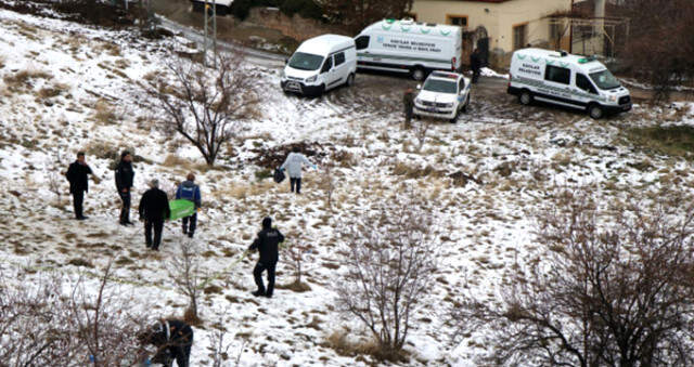 Kayseri'de Sokak Köpeklerinin Saldırdığı Lise Öğrencisi Öldü, Mahalle Sakinleri İsyan Etti