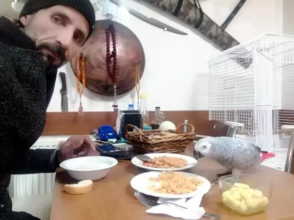 Papağanını Çalan Hırsızlara Seslenen İşletmeci: Çaldıklarınız Sizin Olsun, Sadece Çapkın'ımı Getirin Papağanını Çalan Hırsızlara Seslenen İşletmeci: Çaldıklarınız Sizin Olsun, Sadece Çapkın'ımı Getirin