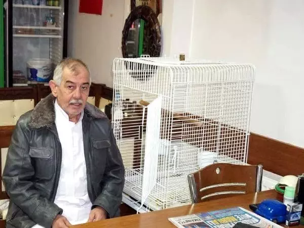 Papağanını Çalan Hırsızlara Seslenen İşletmeci: Çaldıklarınız Sizin Olsun, Sadece Çapkın'ımı Getirin Papağanını Çalan Hırsızlara Seslenen İşletmeci: Çaldıklarınız Sizin Olsun, Sadece Çapkın'ımı Getirin