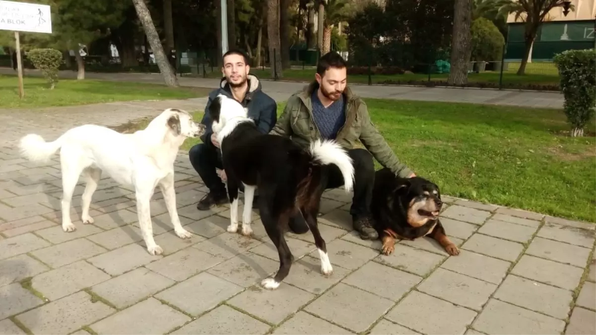 Bu Mesleği Yapabilmenin Tek Şartı Sevgi