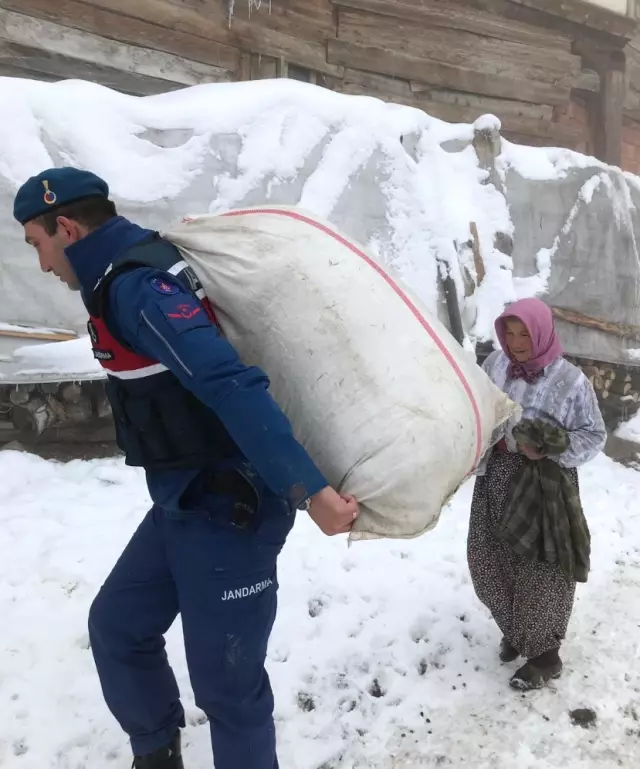 Günün En Güzel Karesi Sinop'tan - Haber