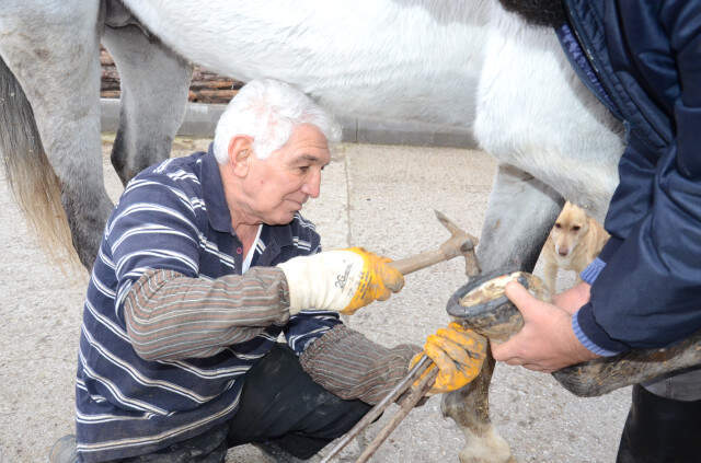 Tekmeler Yedi, Alt Dişleri Döküldü, Ama Atlara Olan Sevgisi Hiç Bitmedi