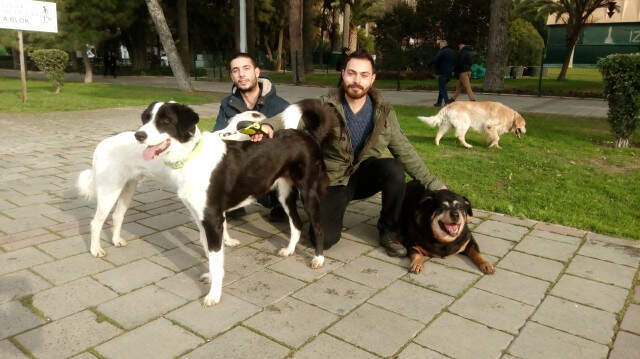 Yeni Bir İş Sektörü Doğuyor! Köpek Gezdirerek Saatte 150 Lira Kazanıyorlar