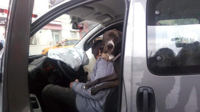 Benzinciye Dalan Sürücü, Köpeğine Sarılarak Uyudu