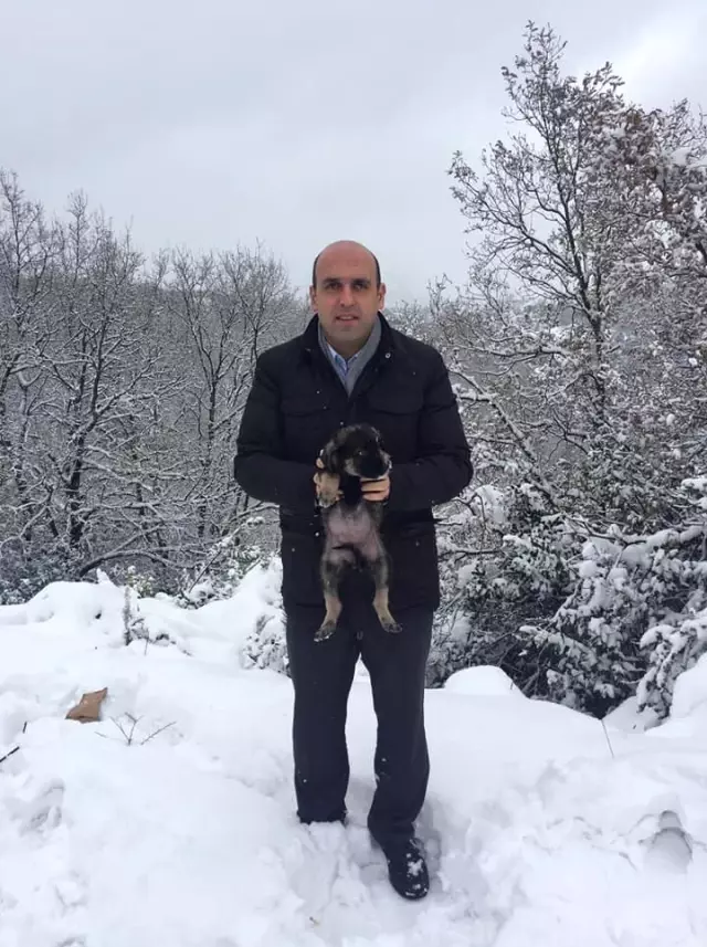 Donmak Üzere Olan Köpek Yavrularını Kaymakam Kurtardı