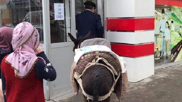 Markette Eşekli Protestoya 4 Bin 545 Lira Para Cezası