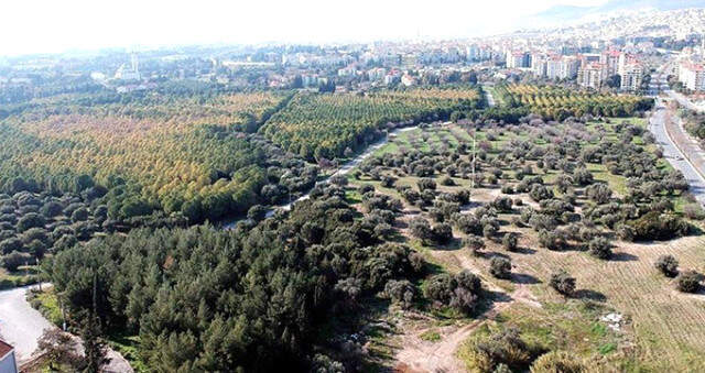Ege Üniversitesinin Koruluğu Millet Bahçesi Olacak