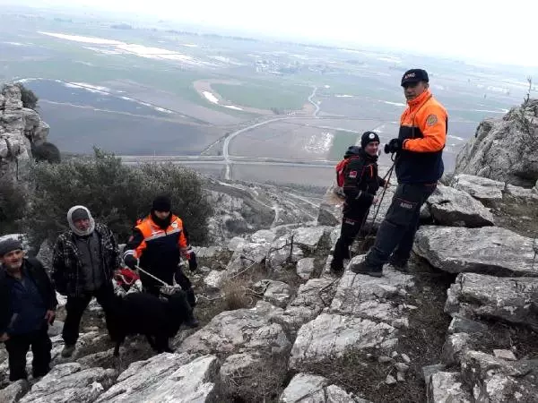 Kayalıklarda Mahsur Kalan Keçiyi Afad Kurtardı
