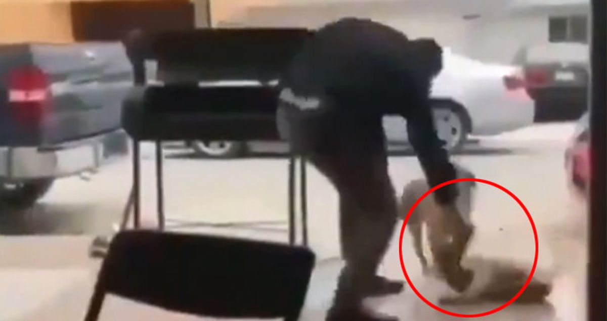 Köpeği Felç Eden Cani Adam, Sosyal Medyada Büyük Tepki Topladı